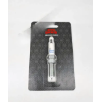 Spark Plug J-Platform Engine