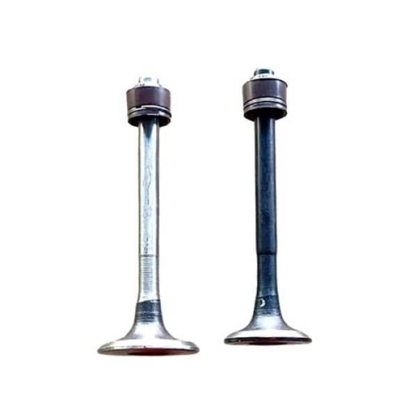 Engine Valve TVS Apache RTR 180 Set Of 2 Valves with Oil Seal (EVTAR182)