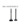 Bajaj Valve Kit Platina 125 Xcd125 2 Piece