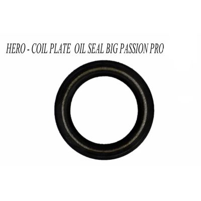 Hero Coil Plate Oil Seal Big Passion Pro