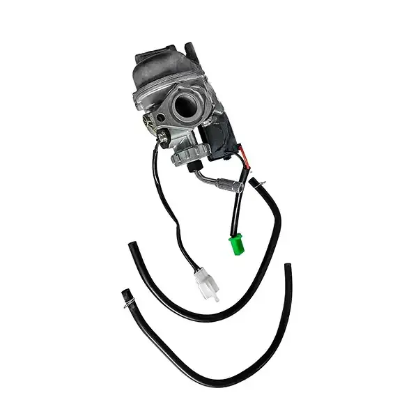 CARB ASSY FOR DISCOVER100 NEW - D05779 - Doshi Auto Parts