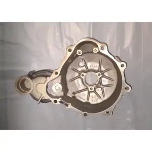 Karizma R Engine Cover Cover Left Side Crank Case For Karizma | Hero - Buy Online at Best ...