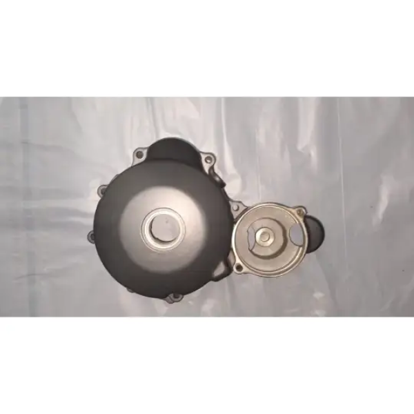 Cover Left Side Crank Case For Karizma | Hero - Buy Online at Best