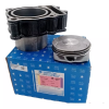 Cylinder Block Kit With Piston For Bajaj Dominar 400