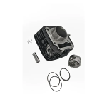 CYLINDER PISTON KIT FOR FIERO - D04861 - Doshi Auto Parts