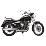 Genuine Fuel Tank for Royal Enfield Thunderbird 350/500