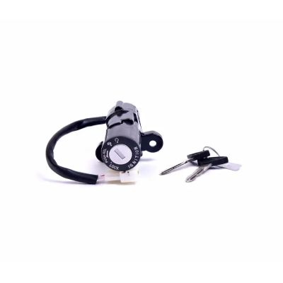 Ignition Switch 2 Pin Coupler For Bajaj XCD 125CC | Pulsar 150CC | Discover 100CC | 125CC ST | Boxer BM150 | Spark Minda