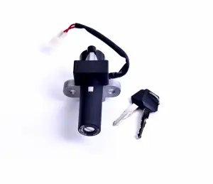 Ignition Switch 2 Pin Coupler For Hero Super Splendor Old Model | Spark Minda