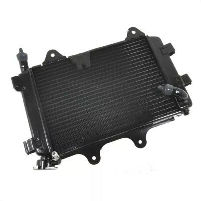 Radiator For Bajaj Dominar 400 | Bajaj