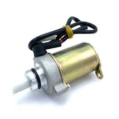 Starter Motor For TVS Phoenix 125