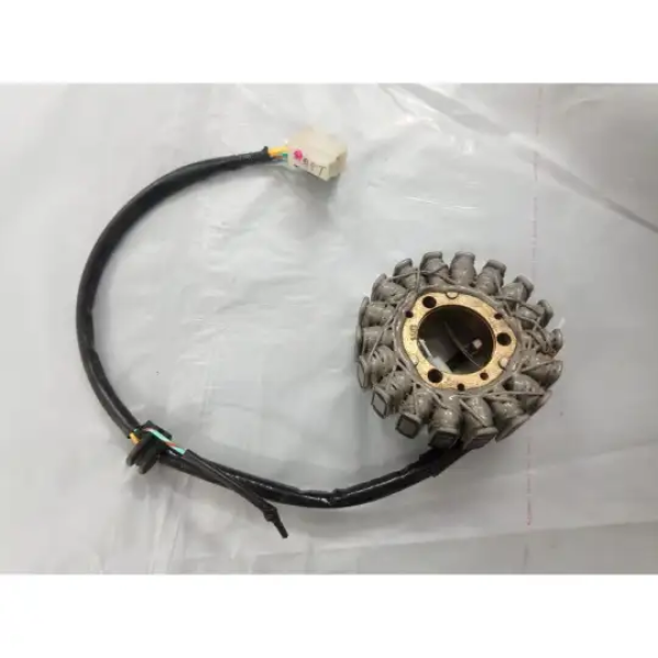 Stator Assy Comp For Karizma | Hero