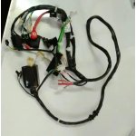 Wiring Harness For Hero Pleasure Old Model - Spark Minda