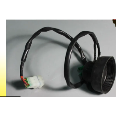 Wiring Harness Light For Avenger cruise 220 UG | Bajaj