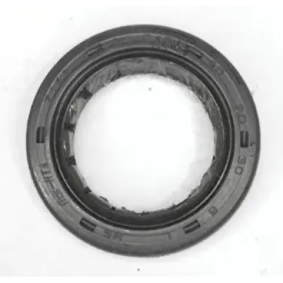 Oilseal 30 20 6 N6200010 Tvs Raider 125 (oem),