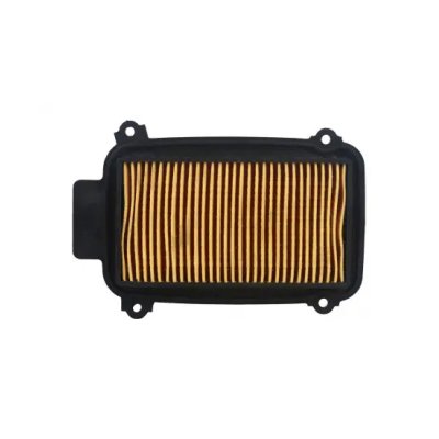 Air Filter Element For Pleasure | Hero