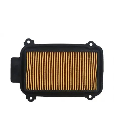 Air Filter Element For Pleasure | Hero