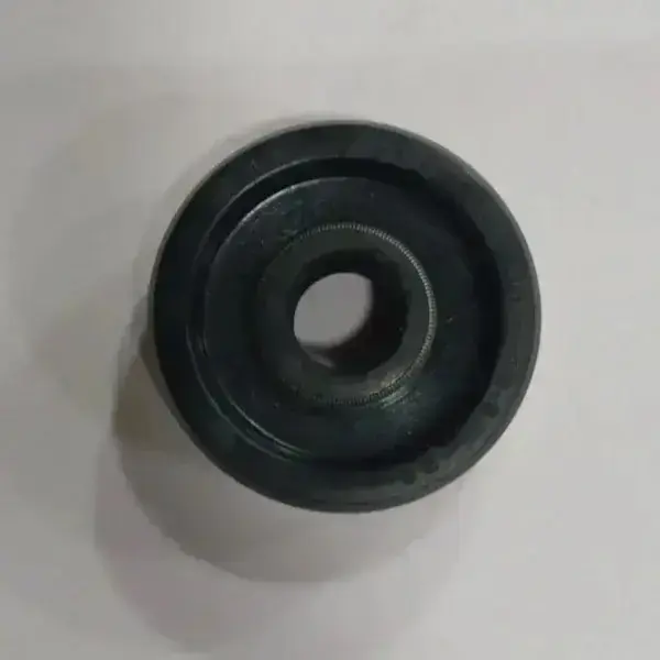 Water Pump Oil Seal For R15 V1 Or R15 V2