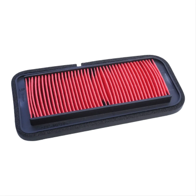 Air Filter Fz 250
