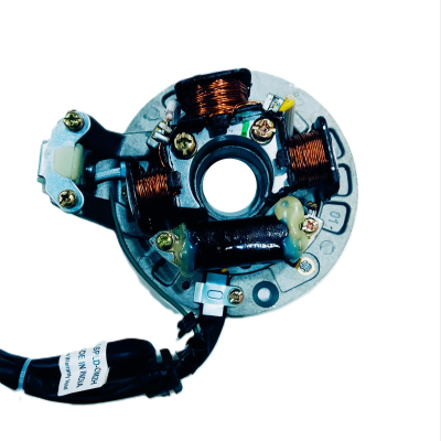 VARROC COIL PLATE ASSY SPLENDOR 2HOLE DINSO (MGCP-SPLD-OM2H)