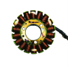 VARROC COILPLATE ASSY PULSAR 200RS (MGCP-PLSR-DT06)