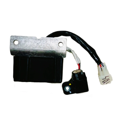 VARROC RR PLATINA 100CC (REGR-PLTN-PF01)