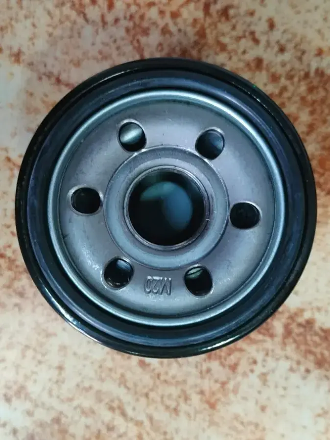Benelli 300i oil filter