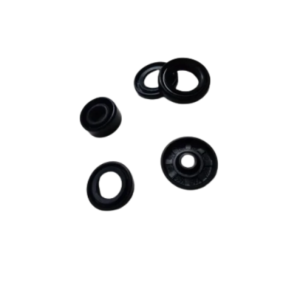 Hero Karizma R Oil Seal Kit Standard