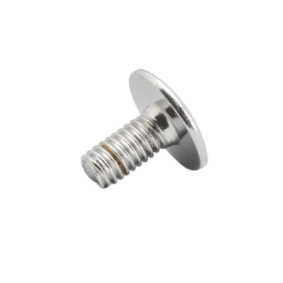 Hero Xtreme Sports Side Cover Screw Standard