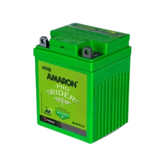 Honda Twister Battery-Amaron